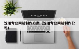 宣城沈阳专业网站制作方案（沈阳专业网站制作公司）